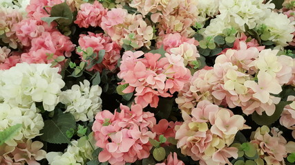Hydrangea is a beautiful flower.Artificial flowers from fabric.flower background,wallpaper. 