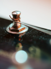Macro tuning peg of an electric guiar