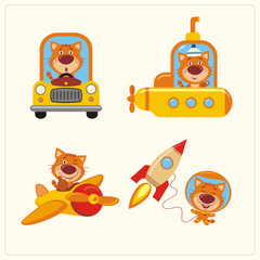 Set of isolated kitten cat in various transport: airplane, submarine, car, space rocket. Collection of funny kitten cat in transport in cartoon style.