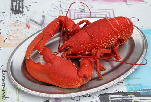 500_F_172616434_G8UurAbLWfoJVDn5RVSkHquWUC7dRNDY.jpg