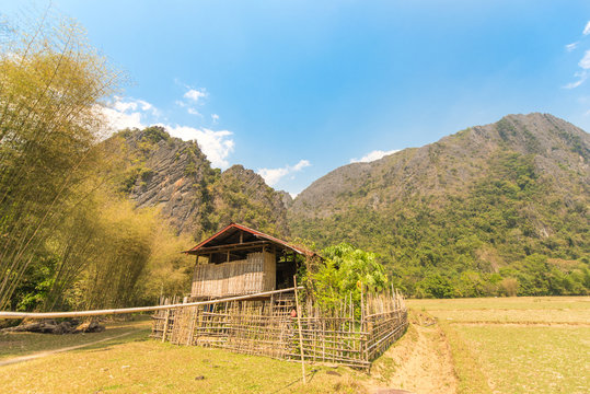 raos vangvieng mountain field