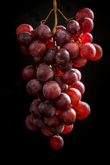 wine grape