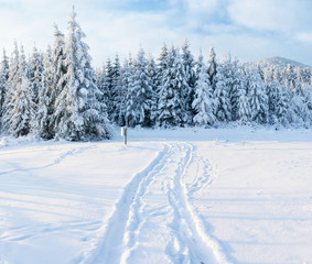 Fantastic winter landscape, road, something leading into the mountains. Frosty sunny day in the mountains. In anticipation of the holiday. Carpathian, Ukraine, Europe. Happy New Year.