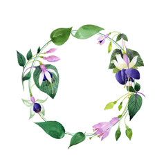 Wildflower fuchsia flower wreath in a watercolor style. Full name of the plant: fuchsia. Aquarelle wild flower for background, texture, wrapper pattern, frame or border.