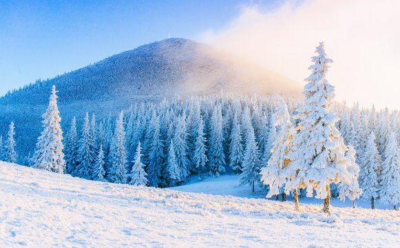 Mysterious winter landscape majestic mountains in winter. Magical winter snow covered tree. Winter road in the mountains. In anticipation of the holiday. Dramatic wintry scene. Carpathian. Ukraine.