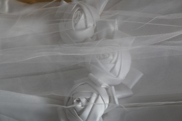 Roses on Wedding Dress