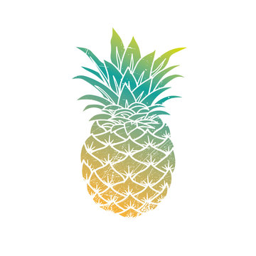 Pineapple modern illustration