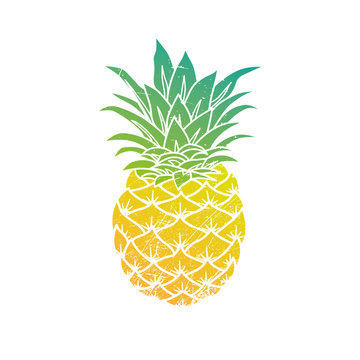 Pineapple modern illustration