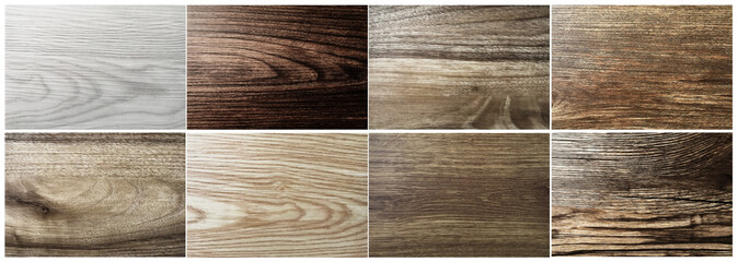 color palette and texture interior decoration