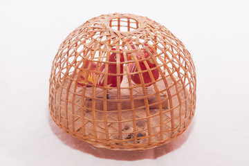 The chicken in these