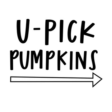 u-pick pumpkins