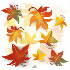  Falling autumn maple leaves. Autumn theme backdrop