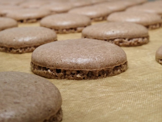 Chocolate macaron is placed on a baking mat in the process of baking with heat from the oven.