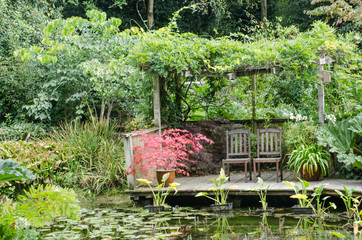 Fototapeta na wymiar Red Acer in watergarden by chairs