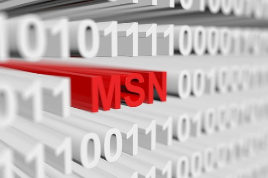 MSN as a binary code with blurred background 3D illustration