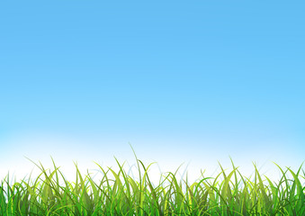 Blue Sky Background With Green Grass