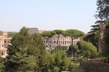 Fototapeta na wymiar Resti archeologici ai Fori Imperiali. Vista del Colosseo. Roma Italia