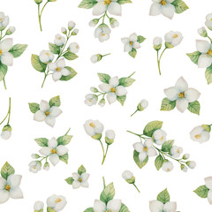 Watercolor vector seamless pattern of flowers and branches Jasmine isolated on a white background.