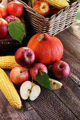 Fototapeta na wymiar Thanksgiving - pumpkin, apples, and maize on wooden background