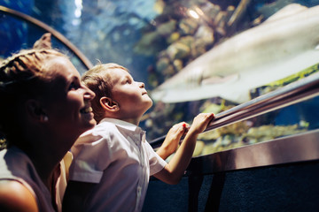 Mother and son watching sea life in oceanarium