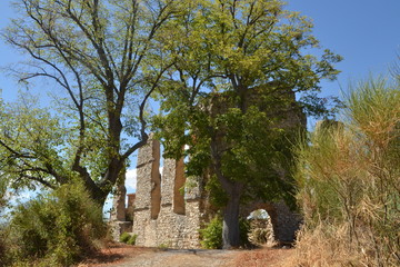 hoge bomen bij de ruïne van een kerk in Saint Jurs in de Franse Verdon