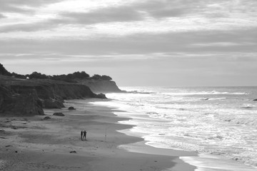 california beach black and white
