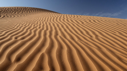 Fototapeta na wymiar Sahara dune di sabbia nel deserto in Tunisia