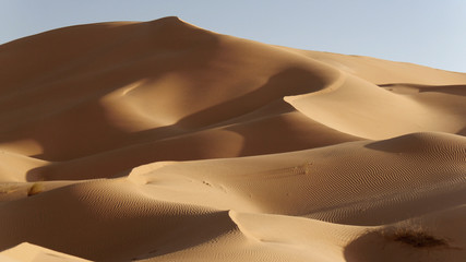 Fototapeta na wymiar Sahara dune di sabbia nel deserto in Tunisia