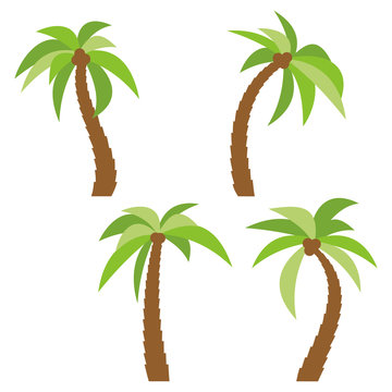 Set of four different cartoon palm trees isolated on white background. Vector illustration
