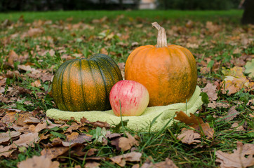 autumn vegetables 