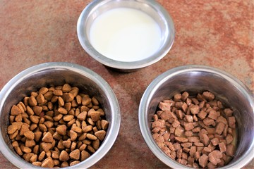 An Image of cat food with colorful background 