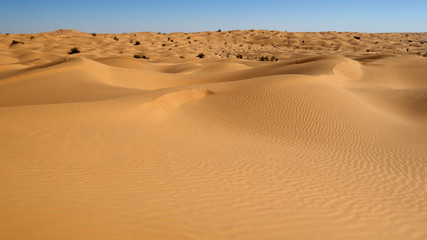 Dune di sabbia nel deserto Sahara tunisino