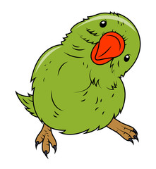 Cartoon Parrot Face Expression