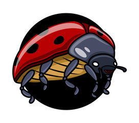 Cartoon Ladybug Vector