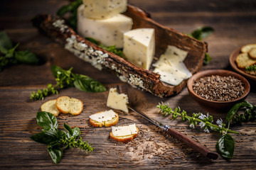 Still life of cheese
