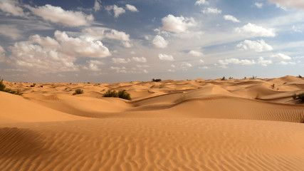 Fototapeta na wymiar Sabbia e cielo del Sahara in Tunisia