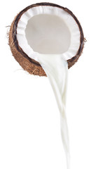 Coconut milk pouring out of coconut fruit.