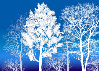 Plakaty  grupa drzew zimowych na niebieskim tle