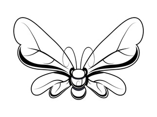 Butterfly Sketch Vector