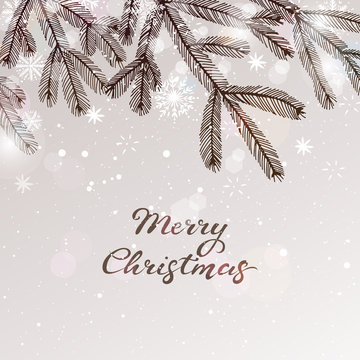 Christmas background with fir branches and snowflakes. Greeting card. Vector illustration.