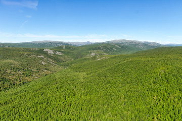 Northern landscape. Top view of a mountain river