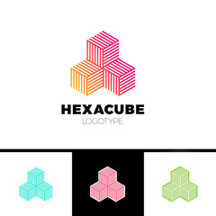 hexagon cube 3d sector group logo, package box arrow logotype.