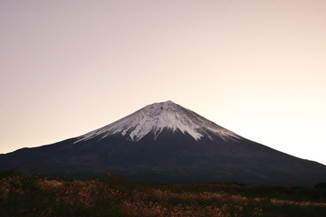 Fototapeta premium 朝の富士山