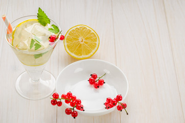 berries, lemon and cocktail with ice/berries, lemon and cocktail with ice with copy space