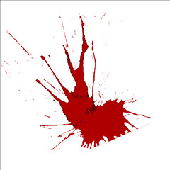Grunge red blood stains Texture Splash Vector