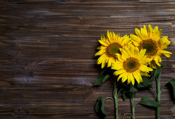 Autumn background with sunflowers