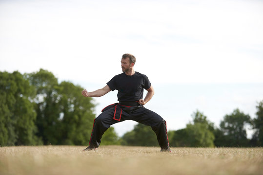 Man practicing Kung Fu in park
