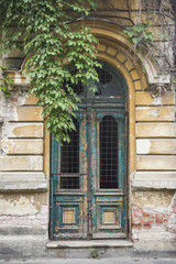 Old door with vegetation in Bucharest, Romania.