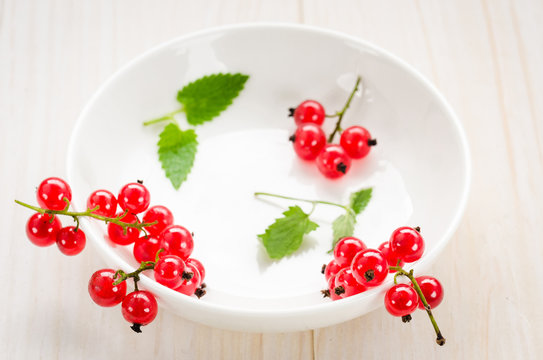 red currant with leaves in a white plate/red currant with leaves in a white plate on a white background