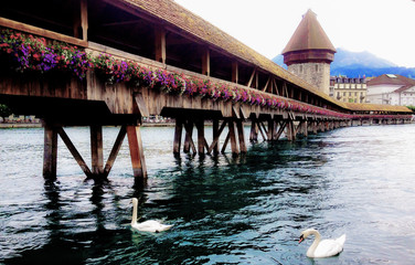Picturesque Summer Day Scene of Traditional Chapel Bridge (Kapellbrucke) and Water Tower (Wasserturm) with swans and reflection on the lake, Lucerne, Switzerland, Europe.